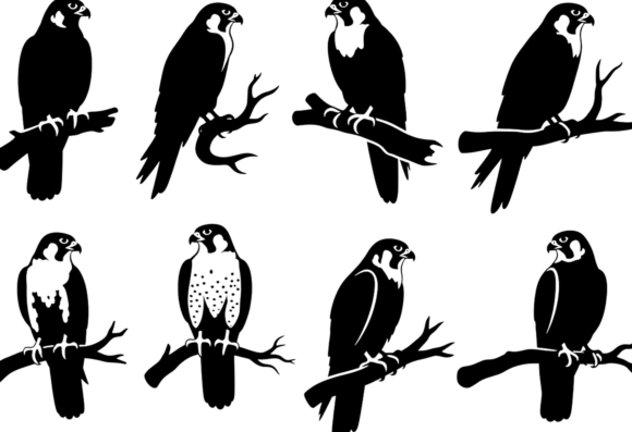 Falcon Silhouette SVG Bundle for Crafts