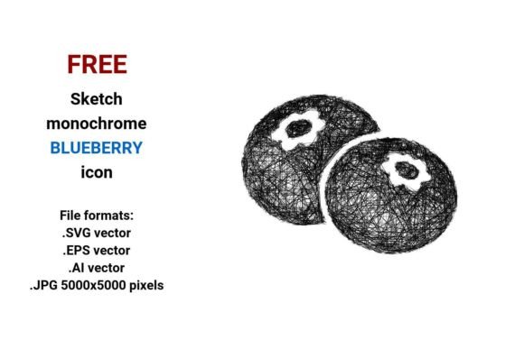 FREE Sketch Blueberry Icon for Graphics and Freebies