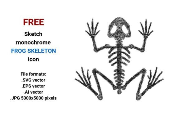 FREE Sketch Frog Skeleton Icon for Graphics and Freebies