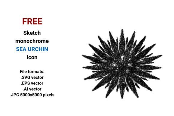 FREE Sketch Sea Urchin Icon Graphics